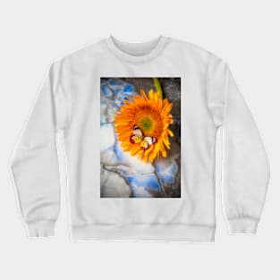 Colorful Butterfly On Sunflower Laying On Marble Crewneck Sweatshirt